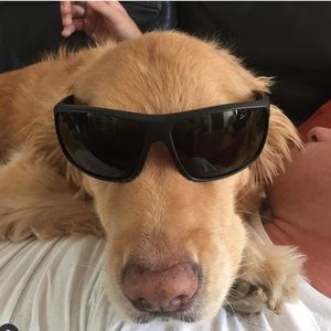 Meet your Posher, Dylan